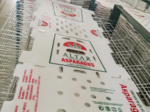 Printing Sheet