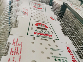 Food Box