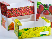 Agriculture Fruits Box