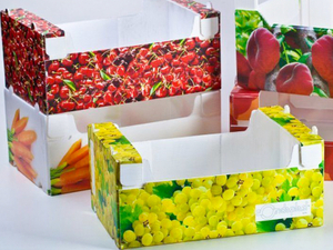 Agriculture Fruits Box
