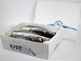 Seafood Box