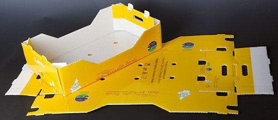 Anti UV Yellow PP Hollow Sheet Printing